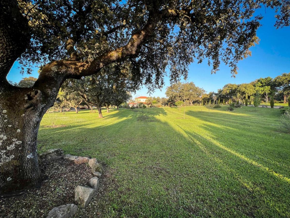 La Encina Guapa Casa Rural 20,000M2 De Intimidad Villa La Iglesuela Exterior foto
