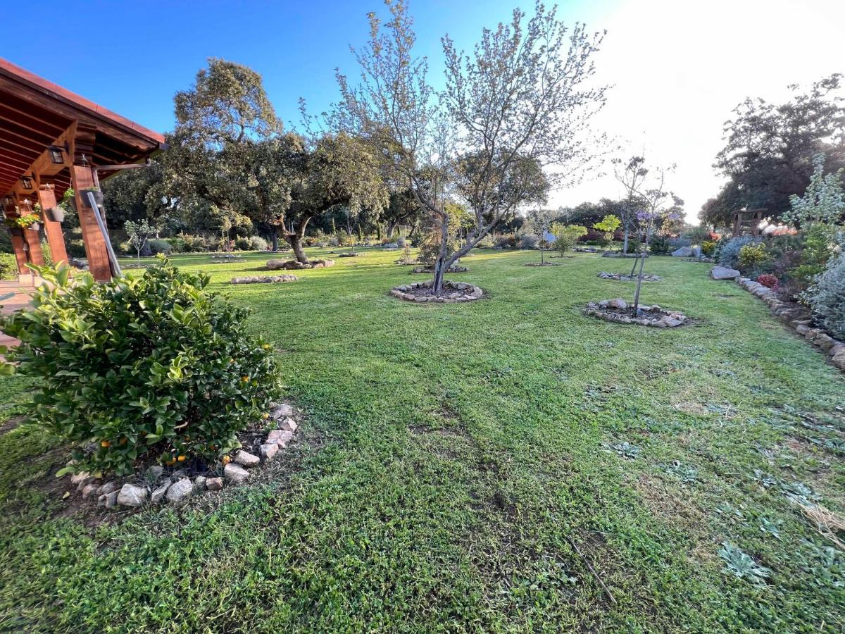 La Encina Guapa Casa Rural 20,000M2 De Intimidad Villa La Iglesuela Exterior foto